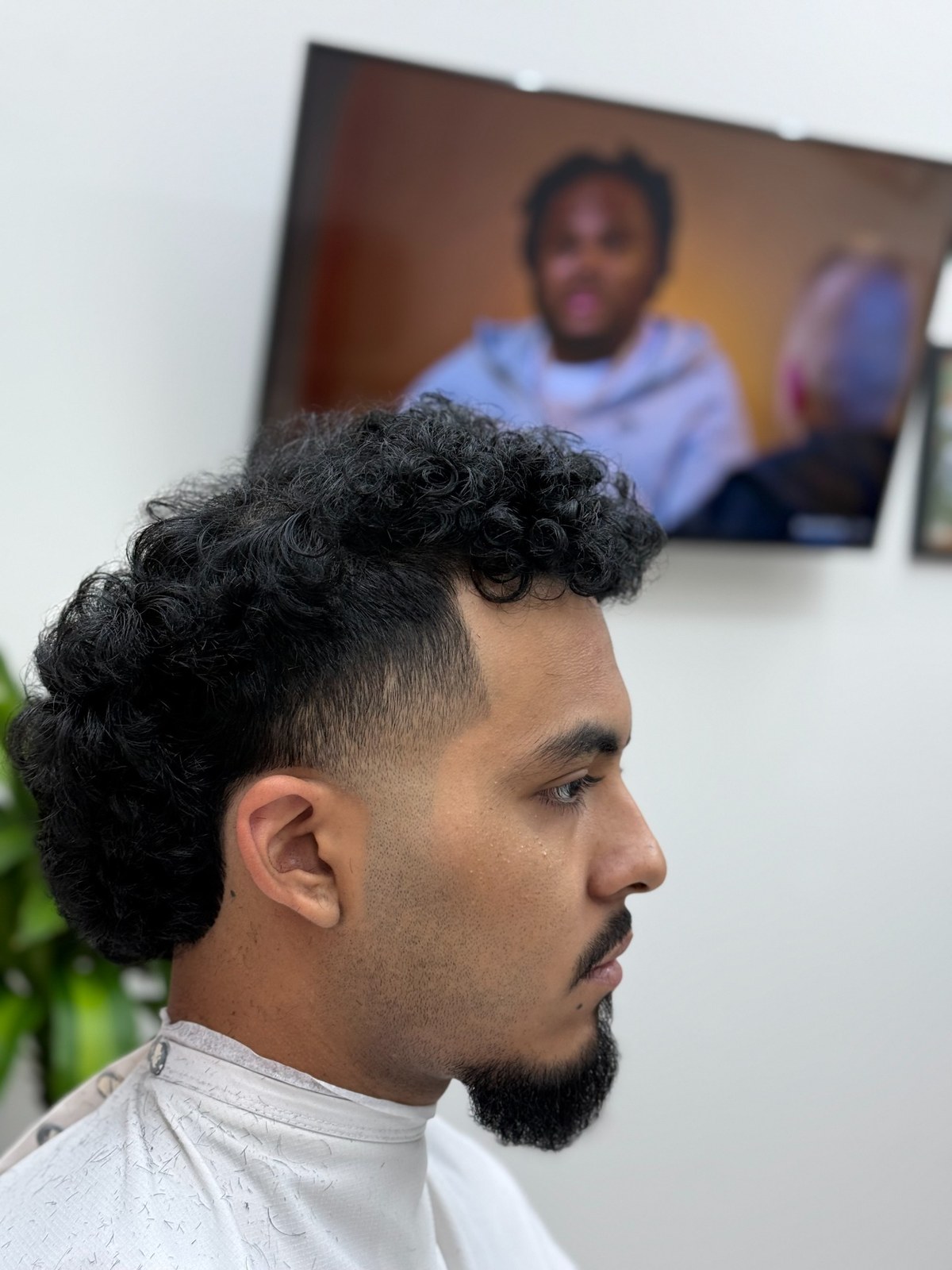 Curly haircut with tapered sides, viewed in profile
